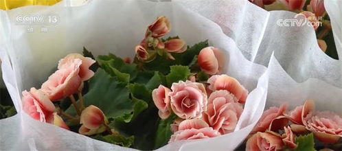 消费旺起来 百姓乐起来 年货市场临近春节热起来